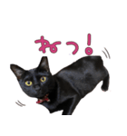 黒猫のcoco（個別スタンプ：23）