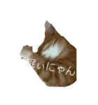 心ペッタン（個別スタンプ：6）