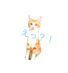 心ペッタン（個別スタンプ：7）