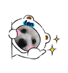 愛犬テンくんのスタンプ4（個別スタンプ：2）