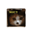 ニコ＆ナナ 2（個別スタンプ：19）
