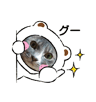 ニコ＆ナナ 2（個別スタンプ：24）