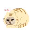 ランちゃんとむげん（個別スタンプ：4）