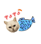 ランちゃんとむげん（個別スタンプ：6）