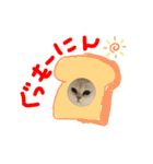 ランちゃんとむげん（個別スタンプ：7）