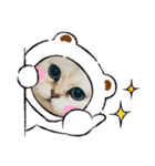 ランちゃんとむげん（個別スタンプ：10）