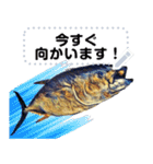 海の幸 魚介類2（個別スタンプ：13）