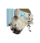 めいまつ（個別スタンプ：3）