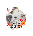 めいまつ（個別スタンプ：4）