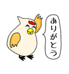 鶏冠ピヨ（とさかピヨ） 日常会話編（個別スタンプ：15）