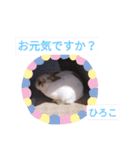 ひろこ うさハム（個別スタンプ：2）