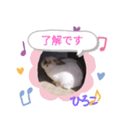 ひろこ うさハム（個別スタンプ：3）