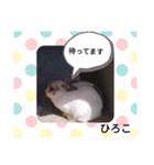 ひろこ うさハム（個別スタンプ：9）