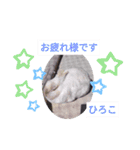 ひろこ うさハム（個別スタンプ：18）