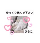 ひろこ うさハム（個別スタンプ：19）