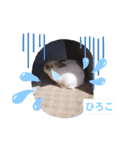 ひろこ うさハム（個別スタンプ：24）