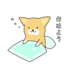 ぐうしば（個別スタンプ：16）