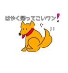 ラッキーのラッキーな毎日（個別スタンプ：16）