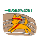 ラッキーのラッキーな毎日（個別スタンプ：27）