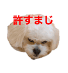 しらたみちざね（個別スタンプ：7）