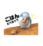 オキナインコのらむちゃんと仲間達（個別スタンプ：3）