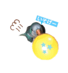 オキナインコのらむちゃんと仲間達（個別スタンプ：7）