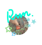 オキナインコのらむちゃんと仲間達（個別スタンプ：10）