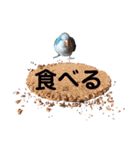 オキナインコのらむちゃんと仲間達（個別スタンプ：26）