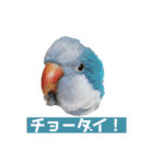 オキナインコのらむちゃんと仲間達（個別スタンプ：29）