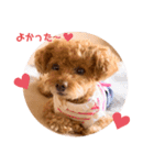ほのぼのoimo（個別スタンプ：3）