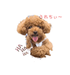 ほのぼのoimo（個別スタンプ：8）