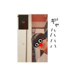 けんちくはつらいよ（個別スタンプ：13）