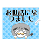 チョイ悪顔のモフネコ ＜メッセージ1＞（個別スタンプ：10）