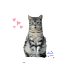 楽しい猫の1日（個別スタンプ：2）