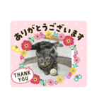 楽しい猫の1日（個別スタンプ：7）