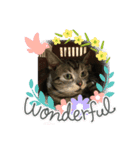楽しい猫の1日（個別スタンプ：8）