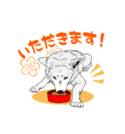 北海道犬のLineスタンプ（個別スタンプ：5）