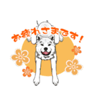 北海道犬のLineスタンプ（個別スタンプ：8）