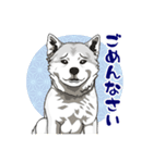 北海道犬のLineスタンプ（個別スタンプ：9）