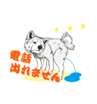 北海道犬のLineスタンプ（個別スタンプ：11）