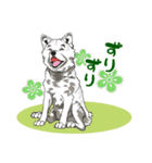 北海道犬のLineスタンプ（個別スタンプ：14）