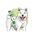 北海道犬のLineスタンプ（個別スタンプ：20）