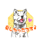 北海道犬のLineスタンプ（個別スタンプ：21）