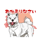 北海道犬のLineスタンプ（個別スタンプ：22）