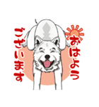 北海道犬のLineスタンプ（個別スタンプ：24）