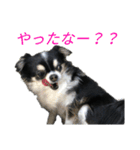 Mary's スタンプ②（個別スタンプ：9）
