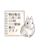 ♥ウサギのメッセージスタンプ♥（個別スタンプ：4）