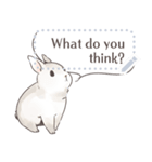 ♥ウサギのメッセージスタンプ♥（個別スタンプ：12）