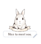 ♥ウサギのメッセージスタンプ♥（個別スタンプ：18）