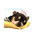 ロック兄さんと姉弟（個別スタンプ：9）